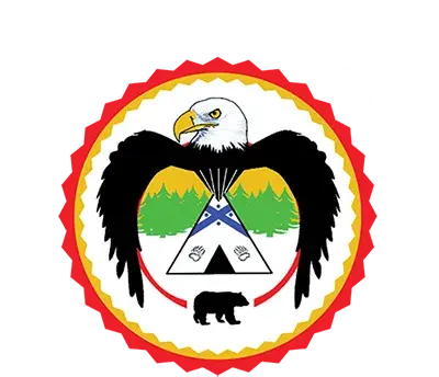 Treaty 3 Police Services Board