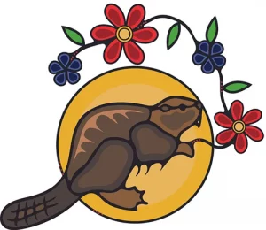 beaver